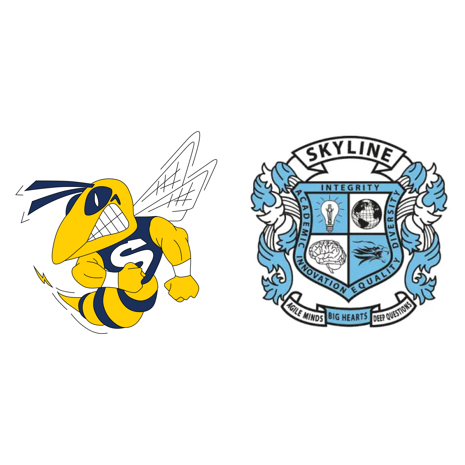 Saline / Skyline logo